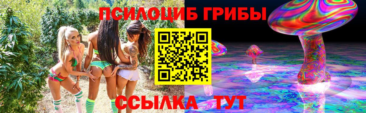 Псилоцибиновые грибы GOLDEN TEACHER  Вход с VPN  Нальчик 
