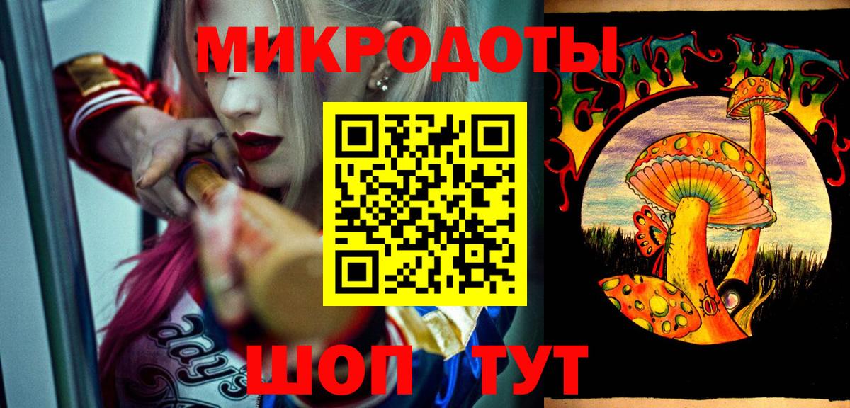Псилоцибиновые грибы Psilocybe Нальчик